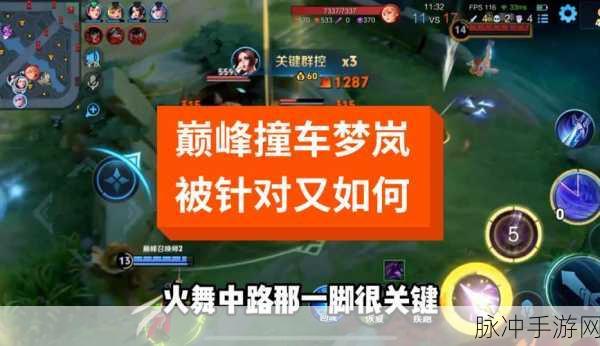 王者荣耀高端局致胜秘诀大揭秘