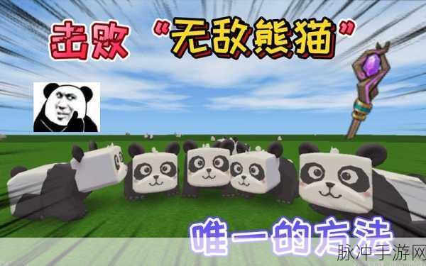 迷你世界手游攻略，揭秘熊猫驯服与饲养方法