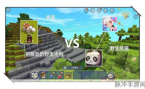 迷你世界手游攻略,揭秘熊猫驯服与饲养方法