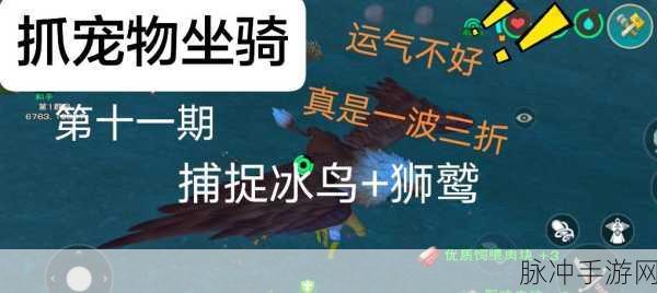 创造与魔法手游攻略，揭秘猛禽狮鹫饲料的制作方法