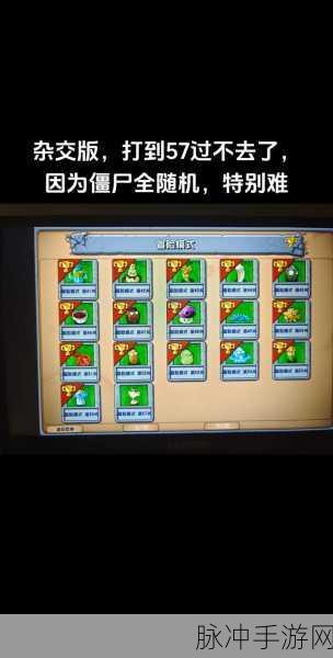 植物大战僵尸幼儿园版全面解析，冒险模式1-1新手通关必备攻略