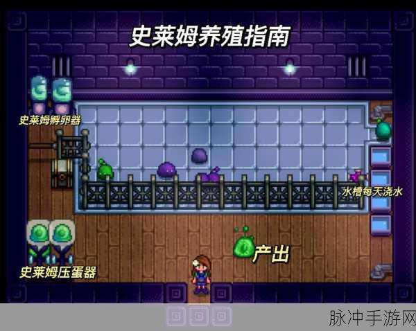 星露谷物语，全面揭秘史莱姆戒指入手攻略
