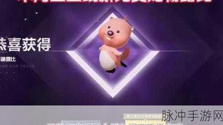 和平精英宠物上线详情全知道
