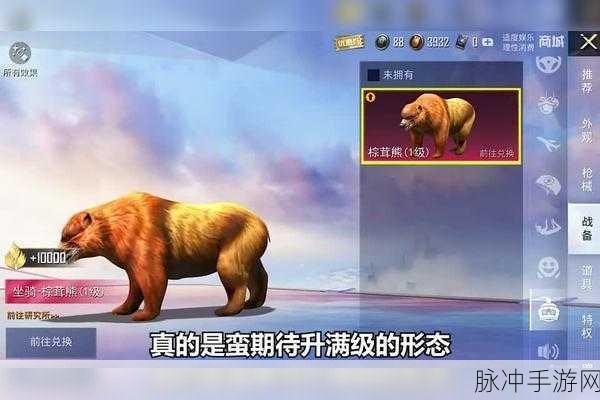 和平精英宠物上线详情全知道