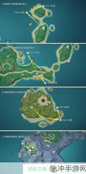 原神手游攻略，全面解析海灵芝采集路线图与海灵芝采集分布图