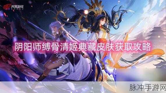 阴阳师手游换肤全攻略，解锁角色新风貌