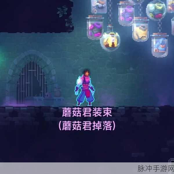 重生细胞无暇王后装束获取秘籍大公开
