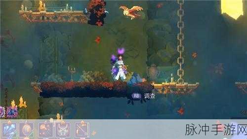 重生细胞无暇王后装束获取秘籍大公开