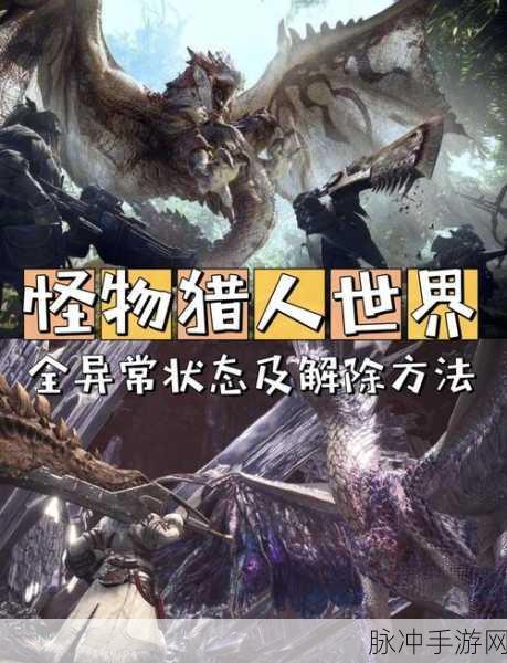 怪物猎人世界手游版，深度解析其购买价值