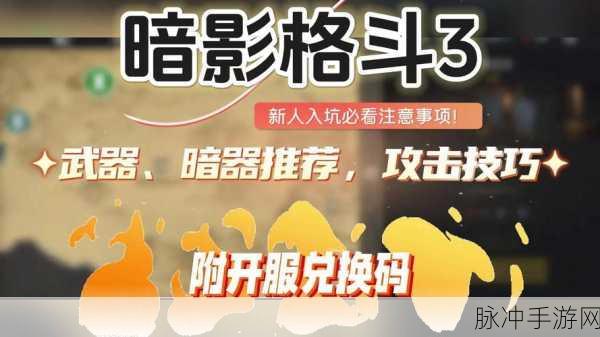 暗影格斗3怎么玩，战斗技巧详解