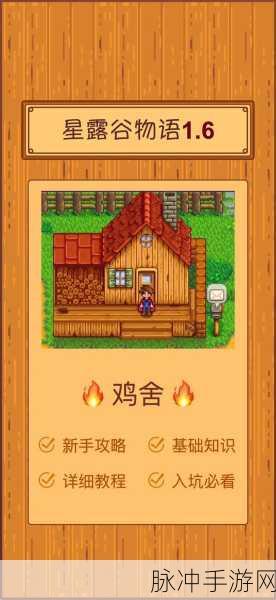星露谷物语，鸡窝高效使用全攻略