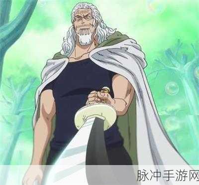 航海王热血航线雷利技能全攻略，领略SS级传奇角色的非凡实力