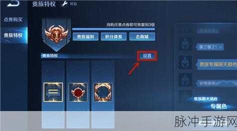 王者荣耀贵族等级隐藏攻略，全面解析如何关闭贵族等级显示