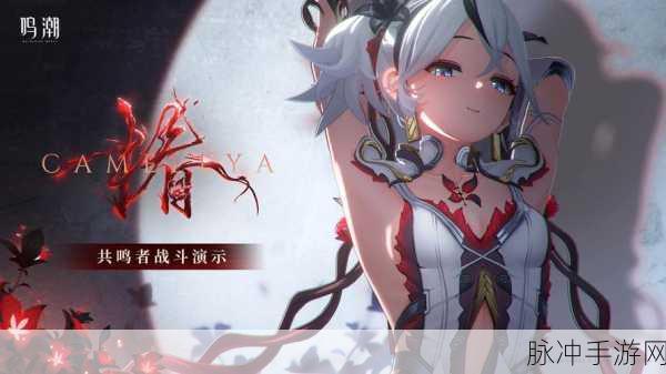 鸣潮椿何时闪耀登场？详细解析鸣潮椿上线时间及相关攻略