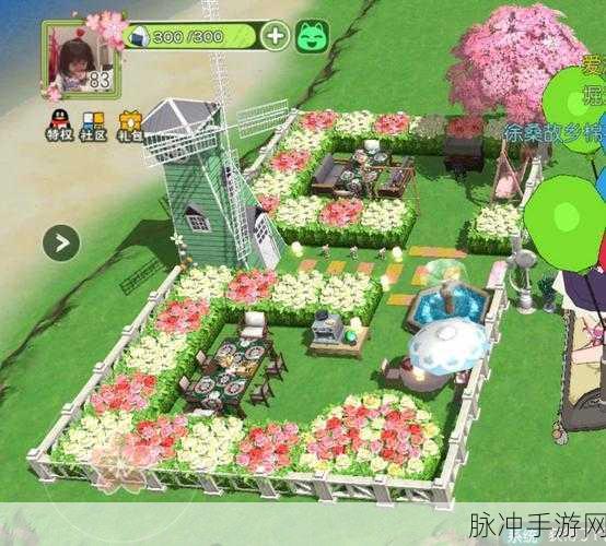 小森生活茁壮绯木刷新点全攻略