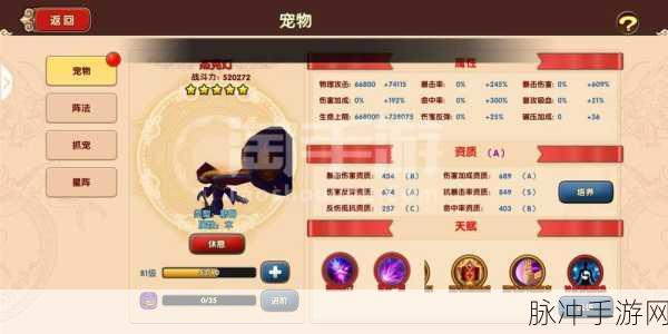 太极熊猫2哪个职业好介绍，全面剖析三大职业特色