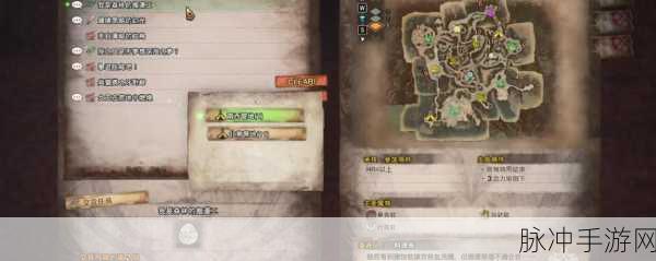 怪物猎人世界飞龙蛋探寻指南，解锁珍稀资源与任务的钥匙