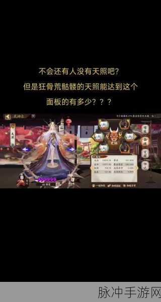 阴阳师天照典藏皮肤获取全攻略,解锁启世恒光的神秘之旅
