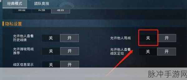 和平精英观战指南，全面解析观战好友方法