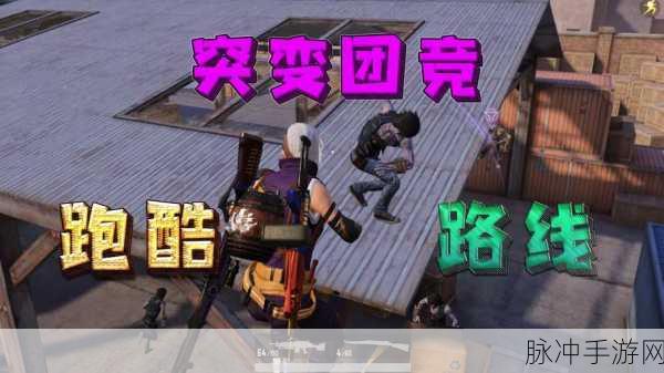 和平精英观战指南，全面解析观战好友方法