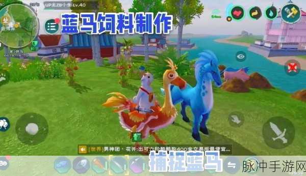 创造与魔法蓝马饲料怎么获得，蓝马饲料获得攻略详解