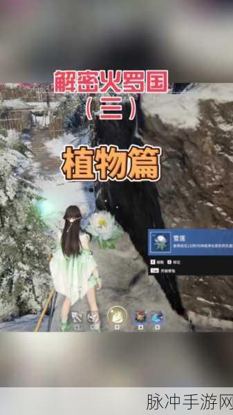 永劫无间雪莲效果全解析，火罗国雪莲的神奇用处介绍