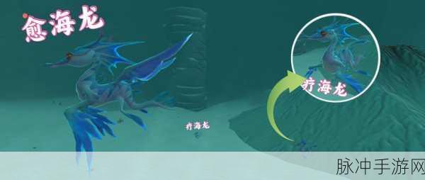 创造与魔法疗海龙与愈海龙战宠深度解析