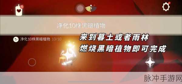 光遇手游攻略，净化十株黑暗植物高效方法分享