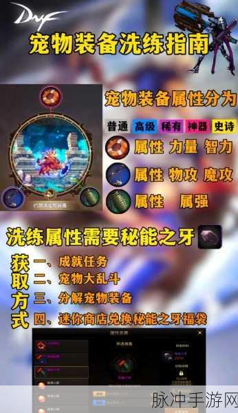 DNF手游宠物系统深度玩法攻略