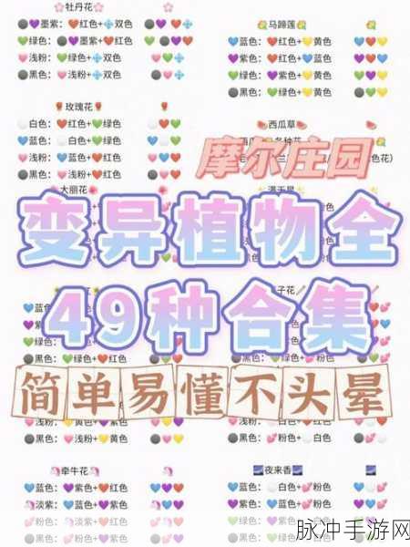 摩尔庄园手游攻略，弹簧草的获取与妙用详解