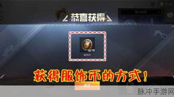 和平精英金币转服饰币，高效兑换实用攻略