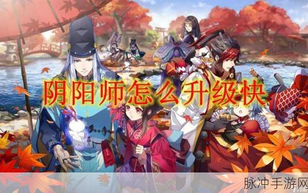阴阳师手游快速升级全攻略，解锁高效升级途径