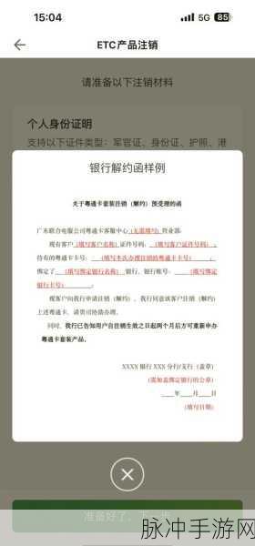 粤通卡ETC欠费补交攻略，手游玩家的畅通无阻秘籍