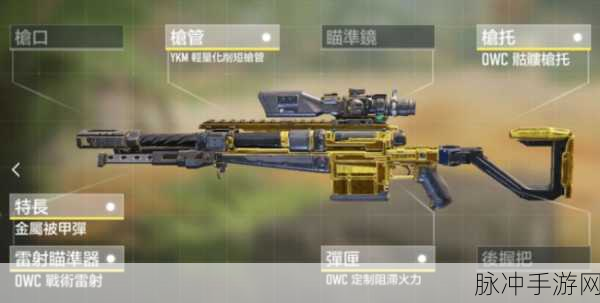 使命召唤手游枪械排行最新版 2024最强枪械伤害排名一览