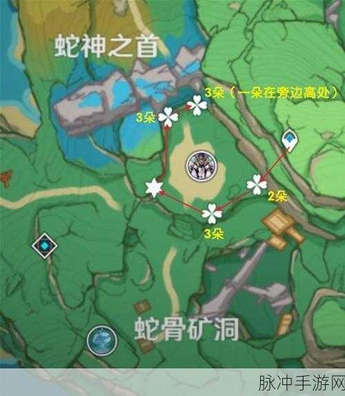 原神血斛位置大全，高效采集攻略