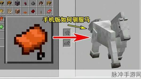 我的世界手游马匹繁殖全攻略秘籍