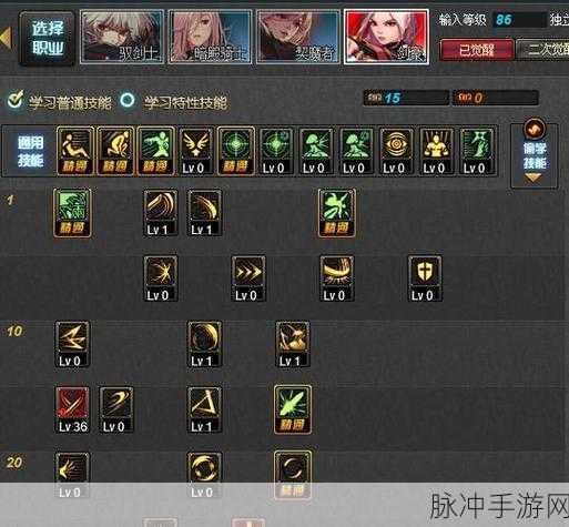 地下城与勇士（DNF）高效升级攻略，揭秘最适合当前等级的刷图路线