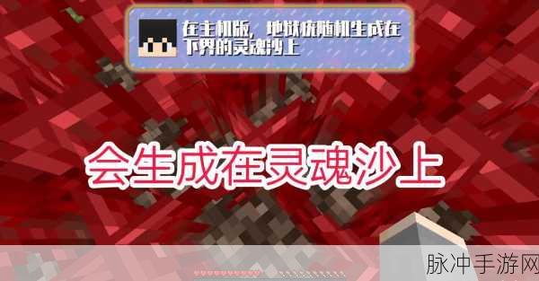 我的世界手游攻略，地狱疣的多样用途你真的了解吗？