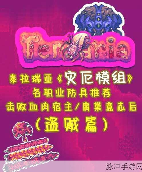 泰拉瑞亚神圣套装深度解析，效果与攻略指南