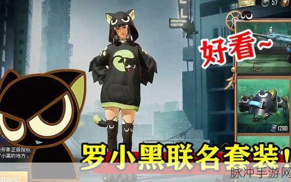 和平精英罗小黑套装全攻略,价格、获取方式与性价比分析