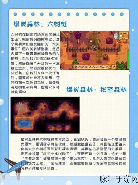星露谷物语，全面攻略——钱包全道具获取详解