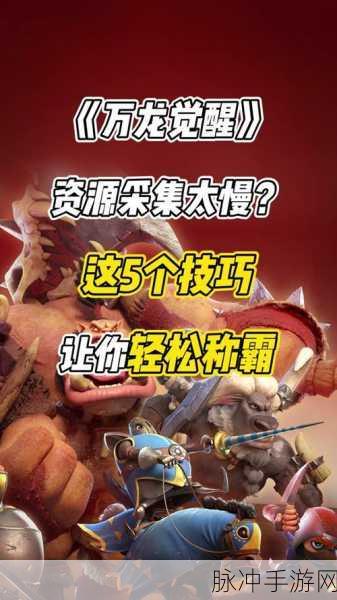 万龙觉醒神豪玩家正确玩法深度解析