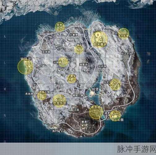 绝地求生手游攻略,详解地图种类与查看技巧
