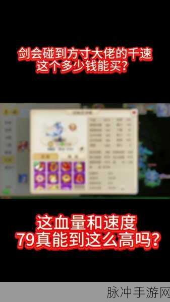梦幻西游手游方寸加点全攻略，打造你的专属方寸强者