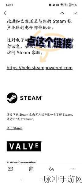 Steam 手机版密码无误却登录受阻之深度剖析