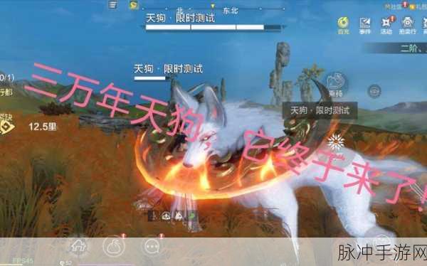 妄想山海，战斗宠物的绝佳之选