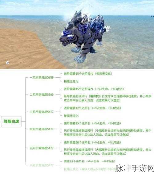创造与魔法，进化果实碎片合成全解析