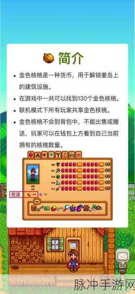 星露谷物语姜岛神庙的进入秘籍大公开