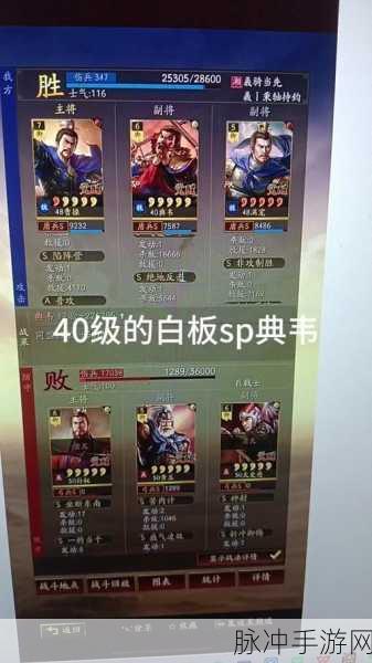 三国志战略版典韦顶级战法全解析