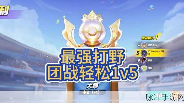 宝可梦大集结，高效查看队友段位技巧与策略分享